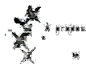 � Propos