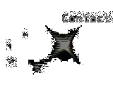 contact